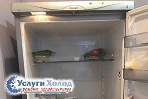 Snage RF 360 внутри